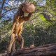 Illustration for article titled These Are the Most Spectacular Nature Photos of the Year